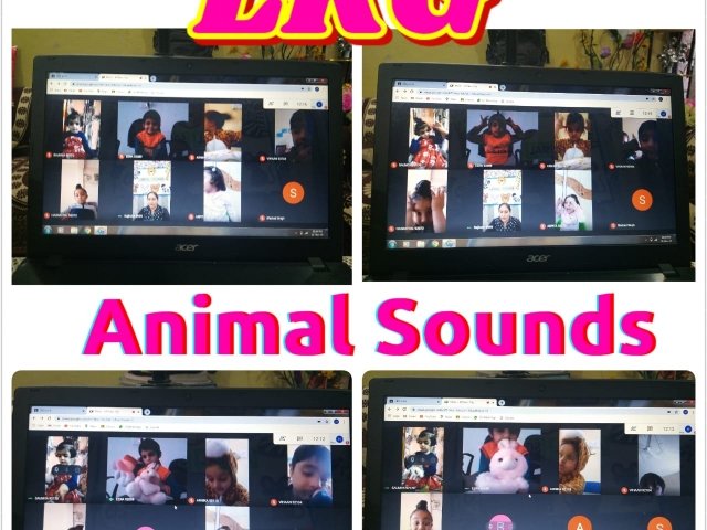 Learning Animal Sounds - Virtually